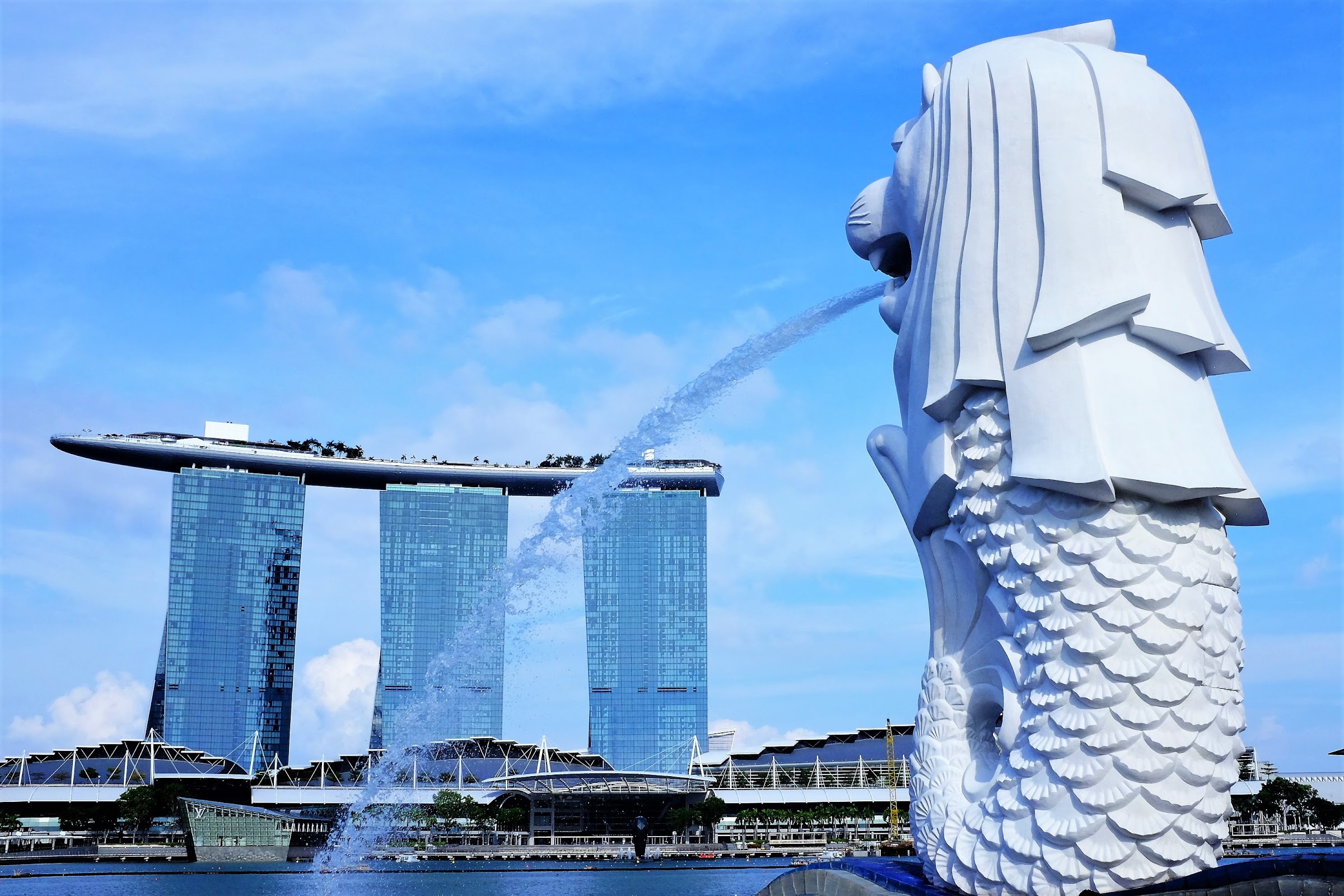 Exporting Food to Singapore